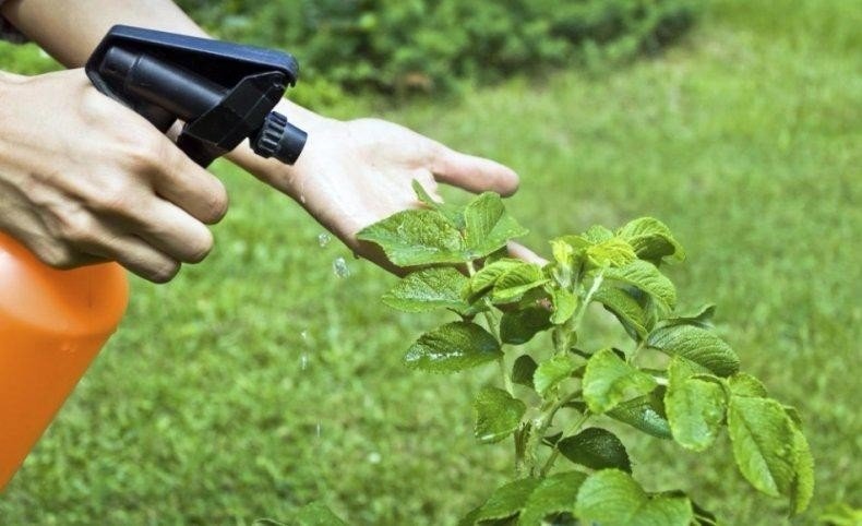 Средства защиты растений