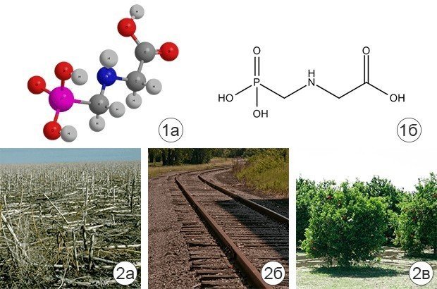 Гербициды формула химическая