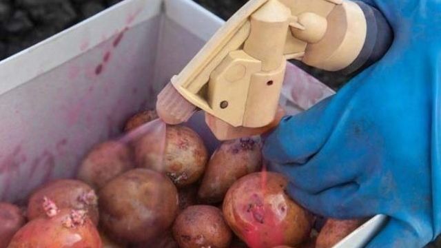 Препарат Престиж для обработки картофеля: отзывы, способ применения протравителя, вред для здоровья