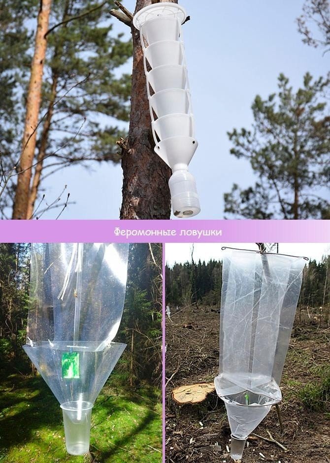 Ловушки для рыбы из пластиковых бутылок