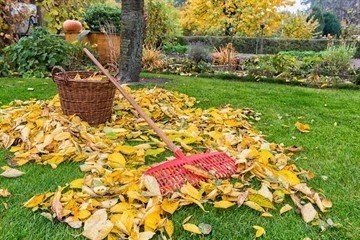 Осенние работы в саду