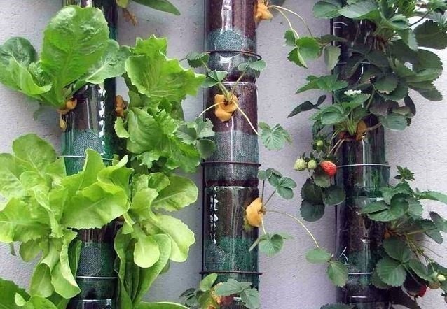 Лайфхаки для дачи и огорода из пластиковых бутылок