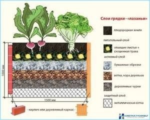 Высокие грядки наполнение схема