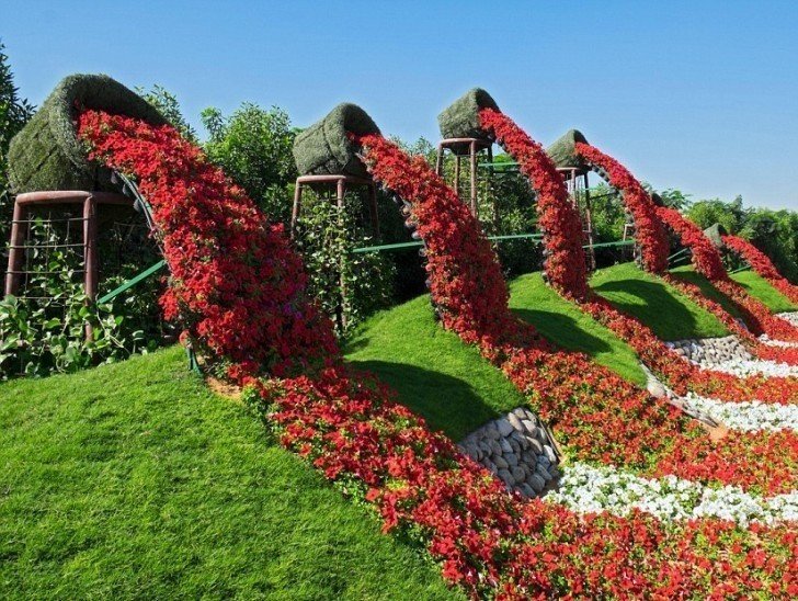 Дубай миракл гарден dubai miracle garden