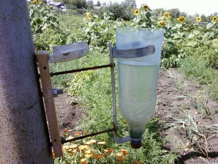 Пластиковые бутылки для полива огорода