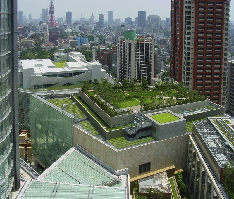 Эксплуатируемая плоская кровля green roof