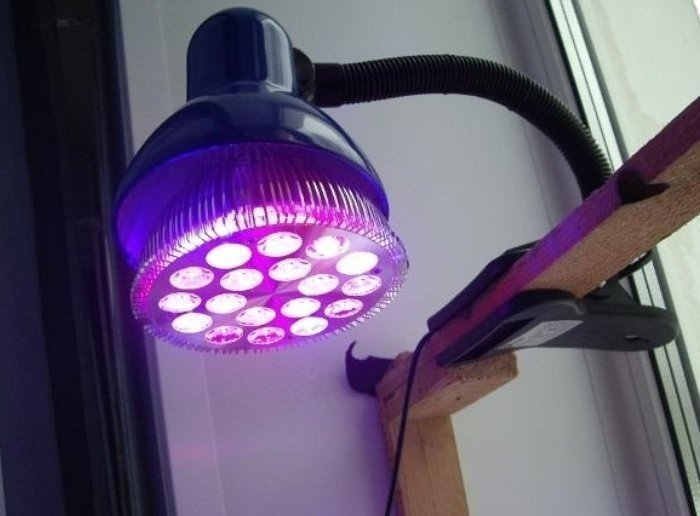 Лампа для растений светодиодная