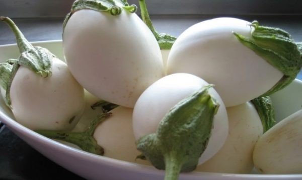 Сорт баклажана белое яйцо