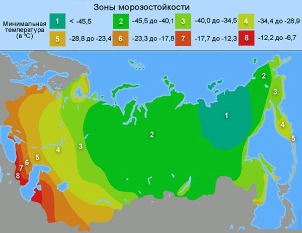 Зоны зимостойкости растений россии на карте