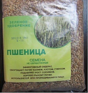 Упаковка семян пшеницы