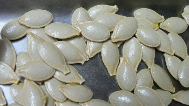 Польза и вред семечек кабачков: можно ли есть, состав и свойства семян