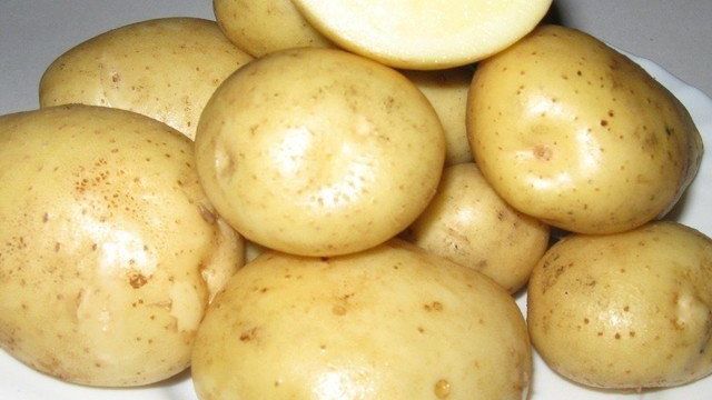 Сорта картофеля, подходящие для Сибири и Урала