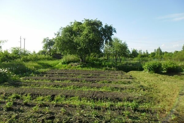 Село александровское ейский район