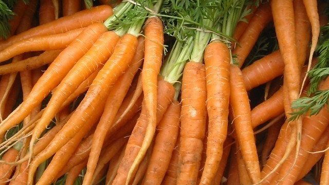 Почему не растет морковь или растет мелкая