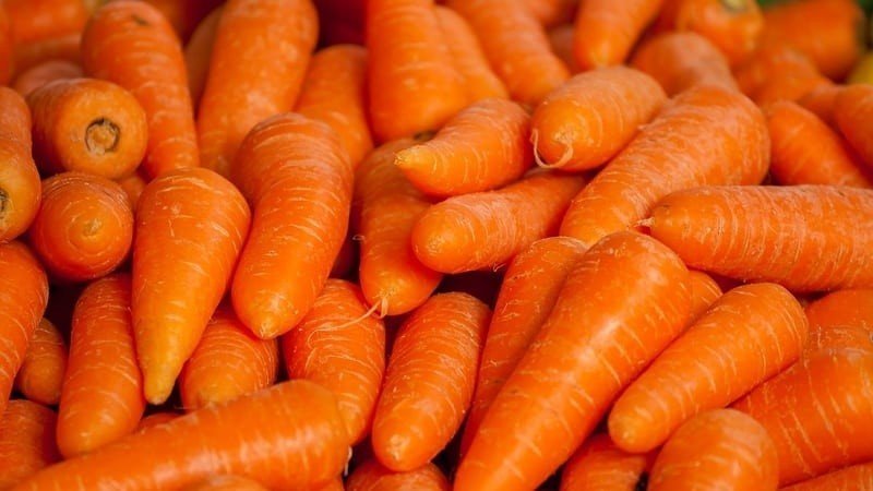 Морковь сорт нандрин