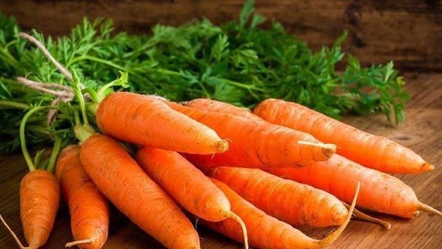 Морковь – свежая и сочная круглый год