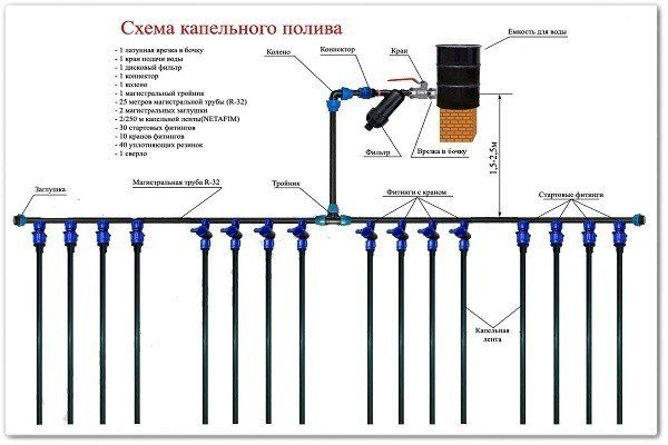 Схема капельного полива