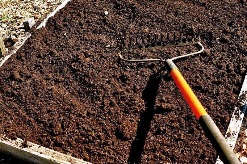 Подготовка почвы для посева ы полях