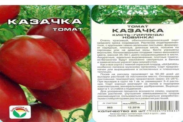 Томат казачка сибирский сад