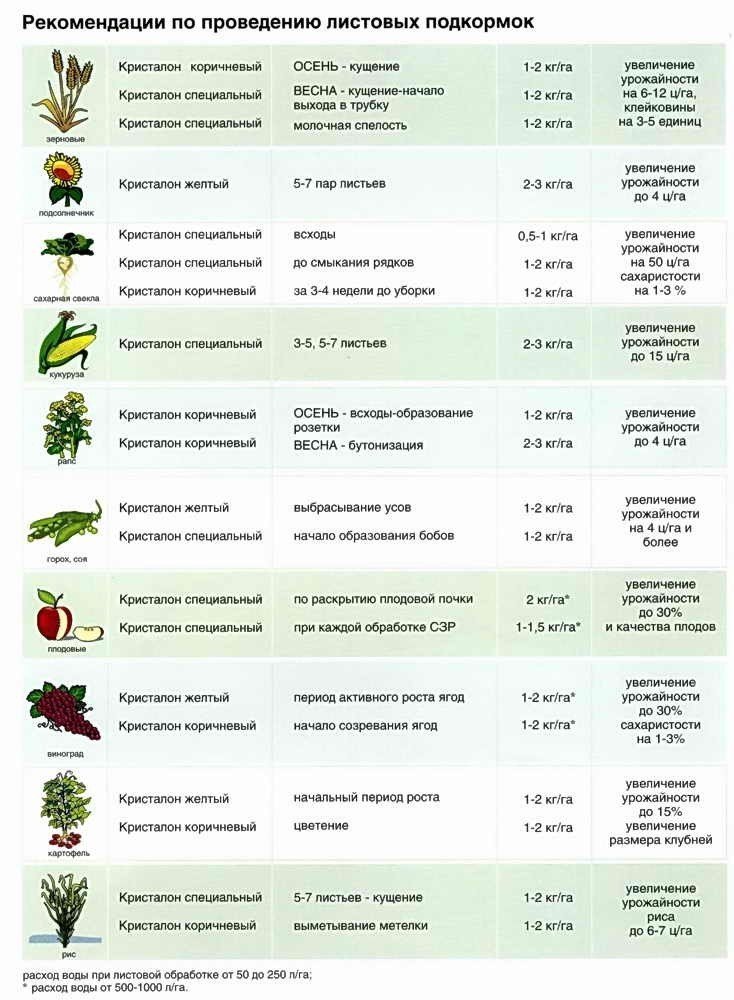 Таблица подкормки овощей минеральными удобрениями