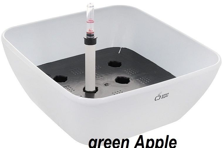 Apple green бонсайница с автополивом