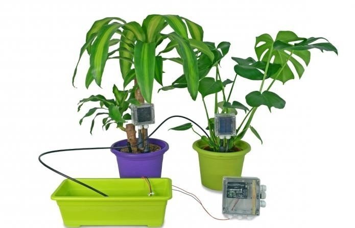 Автополив для комнатных растений