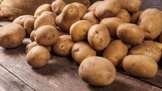 Как правильно хранить картошку без погреба в земле до весны