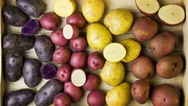Каковы стандартные сроки хранения картофеля и как можно продлить время лежкости