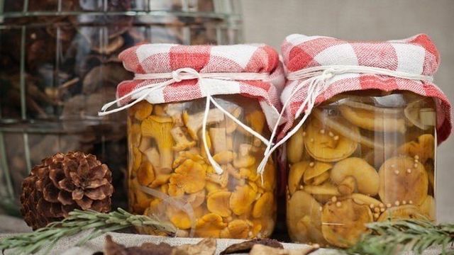 Консервирование грибов: 5 действительно вкусных рецептов