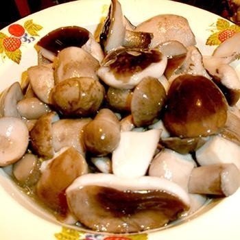 Белые грибы маринованные