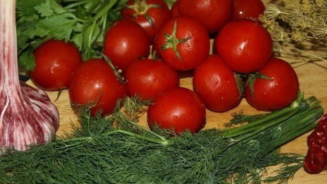 Как солить помидоры простым холодным способом в ведре, бочке, кастрюле, банках? Рецепты зеленых, красных соленых помидоров на зиму