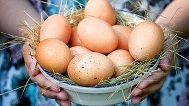 Срок годности куриных яиц и их хранение в холодильнике