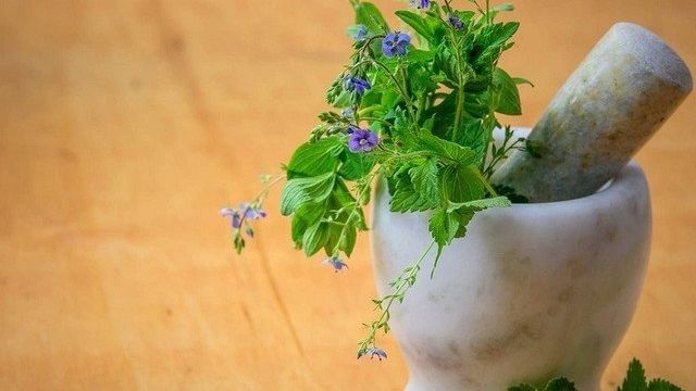 8 лекарственных растений в вашем саду, которые стоит засушить
