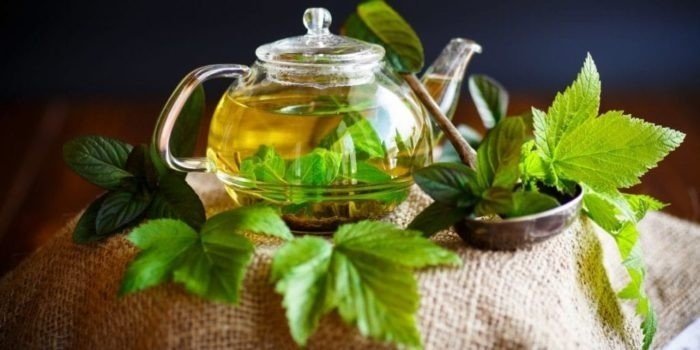 Чай травяной чага чай с добавлением мяты и смородины