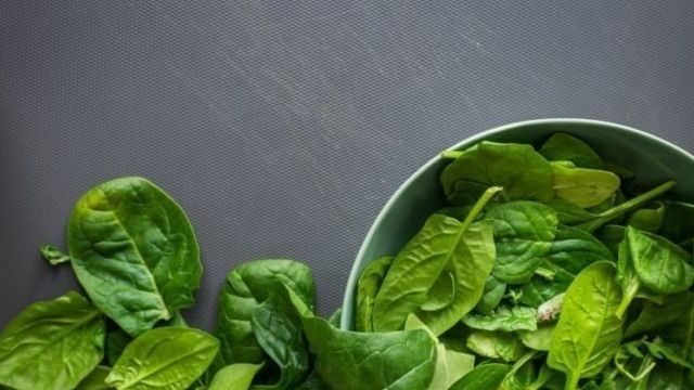 Как заморозить шпинат на зиму в домашних условиях шариками, листьями или с маслом